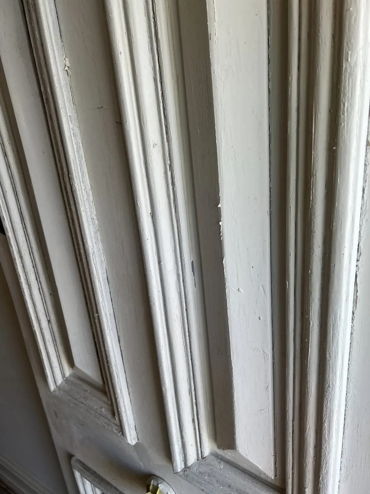 Painted panelled door detail